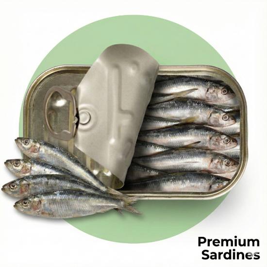 Premium Sardines